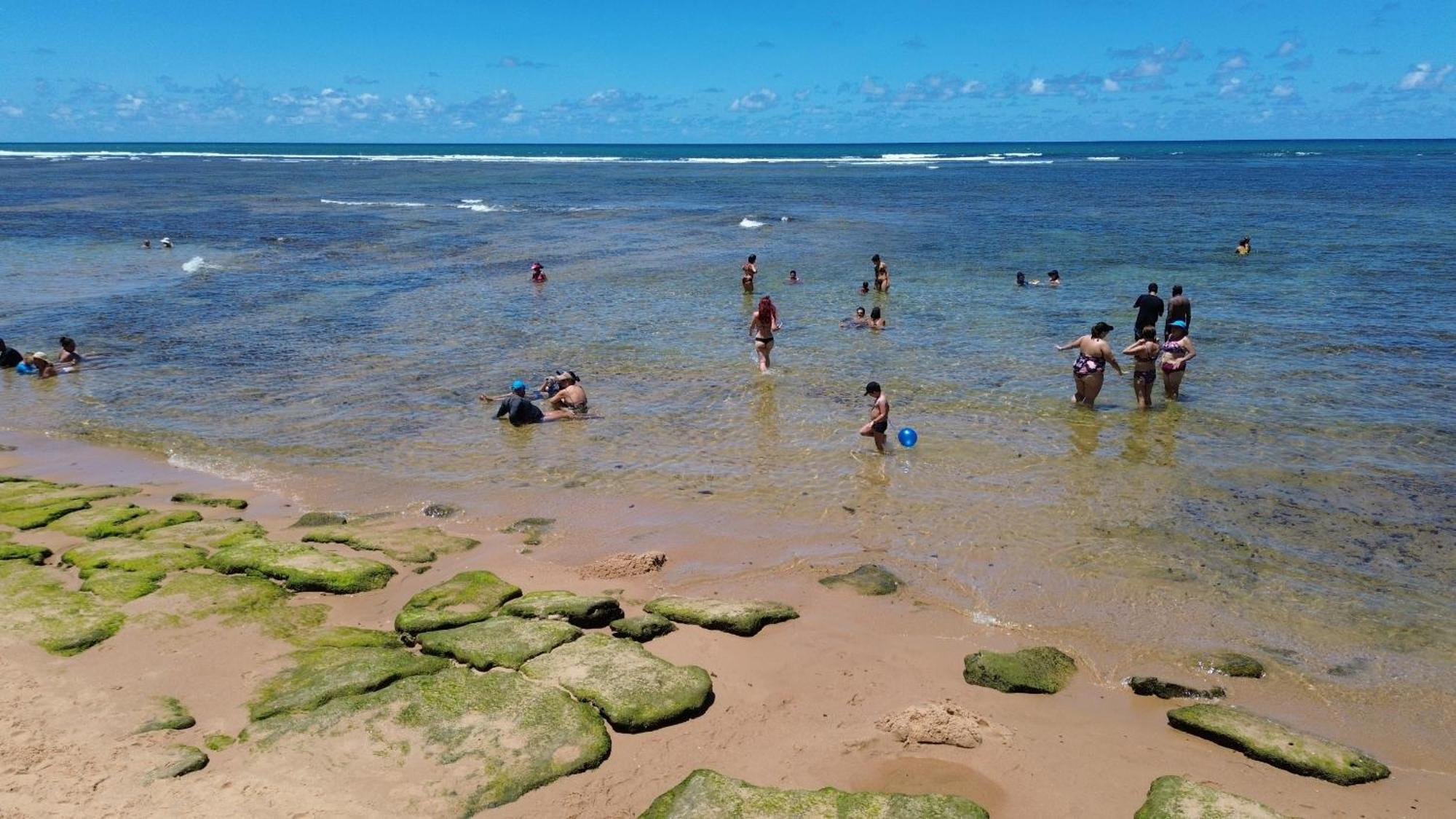 A Casa Da Praia Do Forte Eksteriør bilde